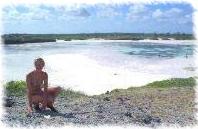 FIO SU TURTLE ISLAND